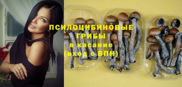 героин Алексин