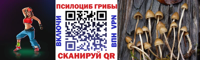 Галлюциногенные грибы Cubensis  Амурск 
